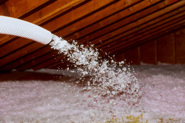Best Energy Efficiency Solutions in Key Largo, FL